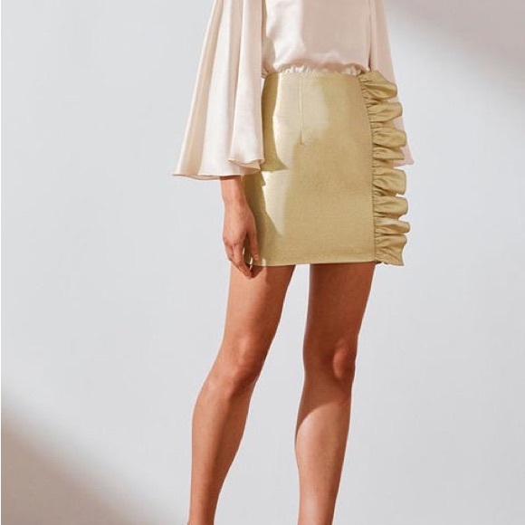 Shona Joy Dresses & Skirts - Shona Joy-The Luna Ruffle Mini Skirt, size 8